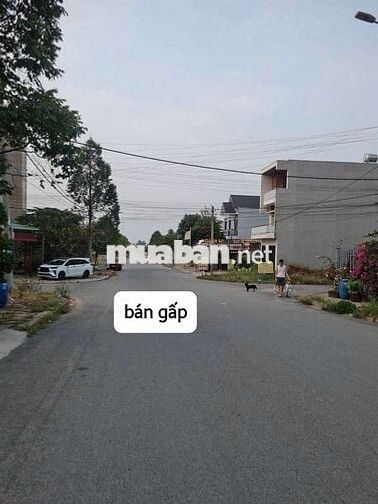 🆘️ GIẢM NGAY 120 TRIỆU – CƠ HỘI ĐẦU TƯ HẤP DẪN!
 lavender