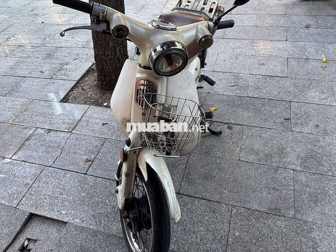 Honda Cub Trắng Cổ điển