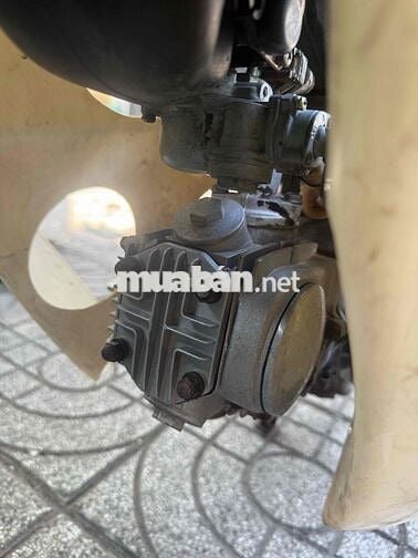 Honda Cub 50cc Xanh lá Trắng 50cc