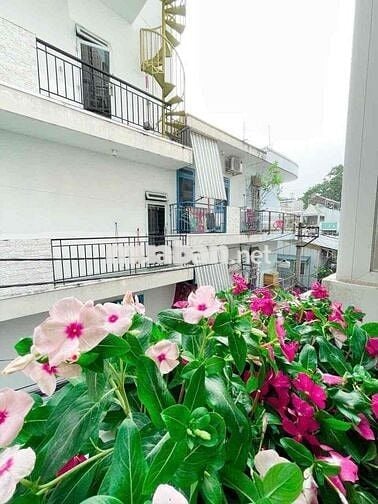 Hẻm 285 Cmt8- Phòng 60m2-Thang máy-Gần tòa nhà Viettel