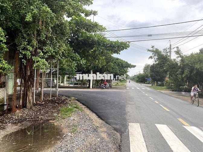 Bán Đất Ngã 3 Đường Tỉnh Lộ 7 Và Đường Bến Đình Xã An Nhơn Tây, HCM