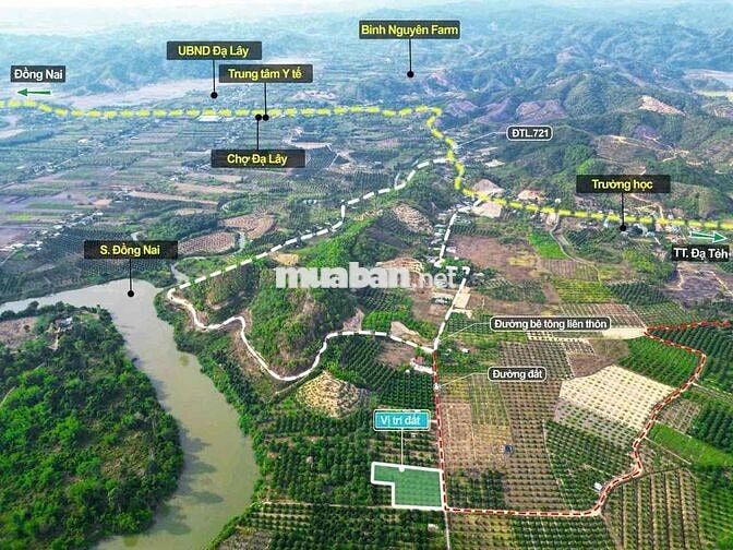 Đất trồng sầu riêng có thổ cư 1 phần