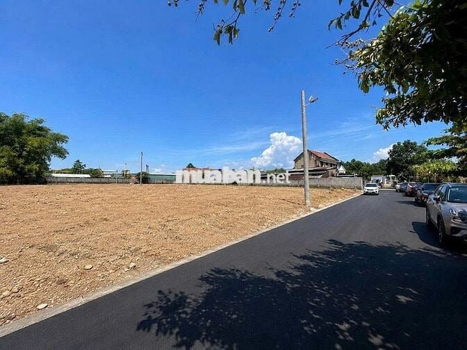 Đất Nền Hòa Vang - Hòa Tiến 100% Thổ cư mặt tiền quốc lộ 14b
