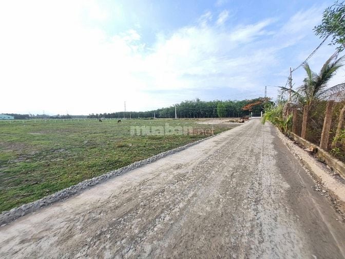 5x43 có thổ. Đường ô tô. Cách nhựa 50m. Chỉ 3xx / 1 lô 