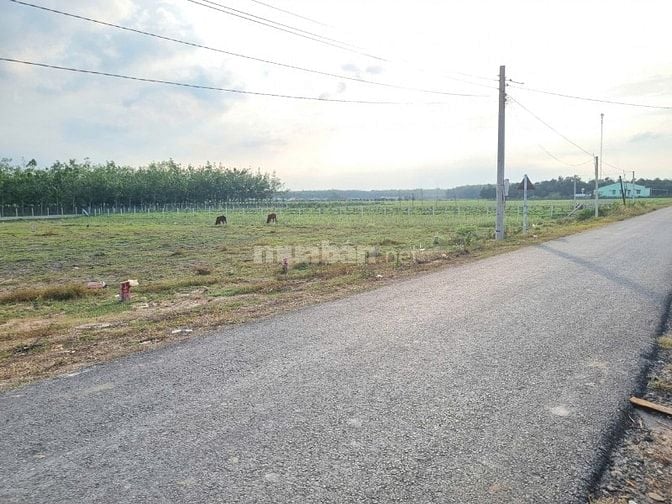 5x43 có thổ. Đường ô tô. Cách nhựa 50m. Chỉ 3xx / 1 lô 