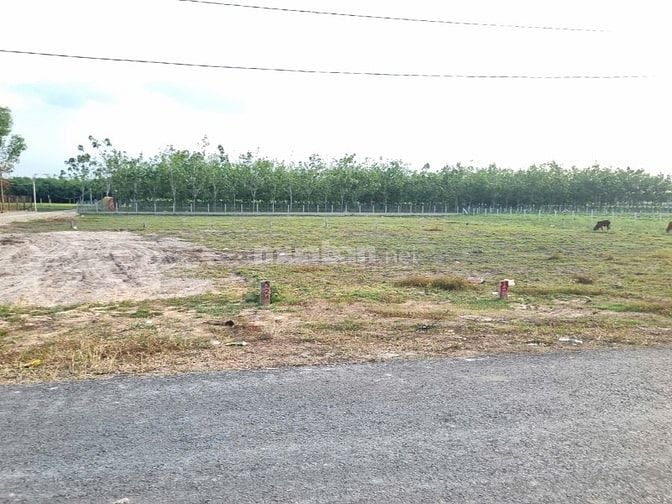 5x43 có thổ. Đường ô tô. Cách nhựa 50m. Chỉ 3xx / 1 lô 