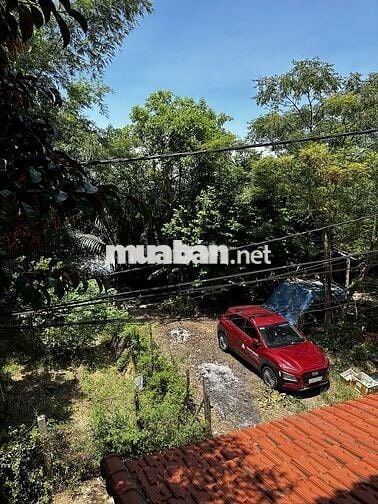 Hyundai Kona 2020 2.0 AT Tiêu chuẩn Đỏ