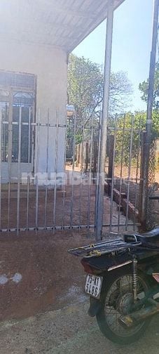 Cần bán nhà + đất dt 850m2 (400 thổ cư) 1 mặt nhựa chính, 2 mặt bêtông
