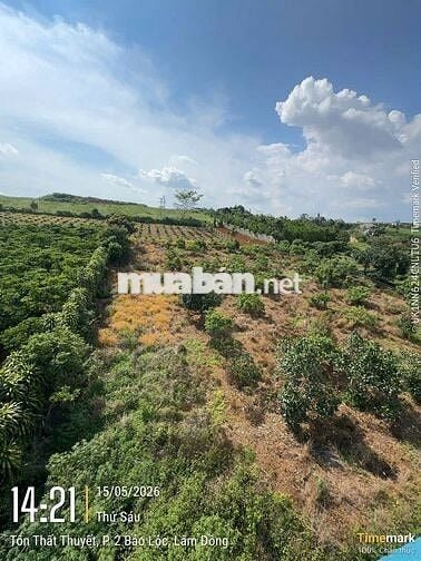 BÁN GẤP  NHÀ + ĐẤT VIEW ĐẸP TP. BẢO LỘC – 886m²