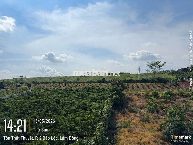 BÁN GẤP  NHÀ + ĐẤT VIEW ĐẸP TP. BẢO LỘC – 886m²