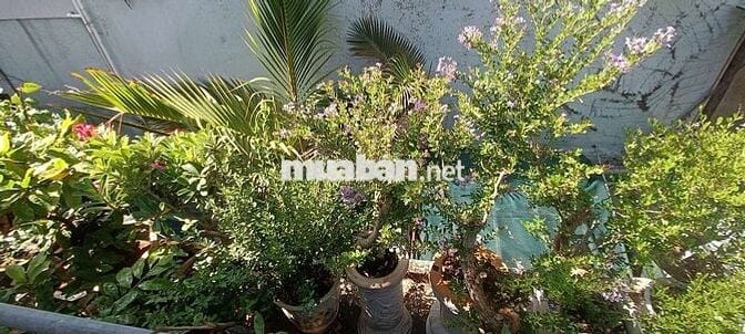 LÔ ĐẤT PHUG HỢP ĐẦU TƯ SINH LỜI