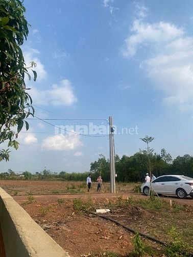 Đất thị trấn vĩnh an , nay là Phương trị an , 500m2 giá chỉ 450tr 