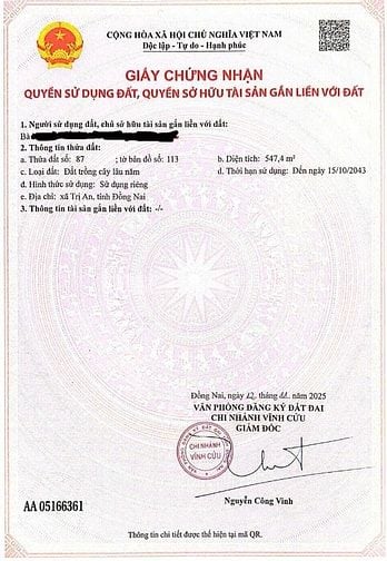 Đất thị trấn vĩnh an , nay là Phương trị an , 500m2 giá chỉ 450tr 
