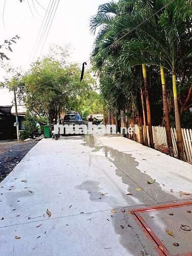 NHÀ VƯỜN SIÊU RỘNG 787M² FULL THỔ CƯ – NGANG 25M – CHỈ HƠN 9 TRIỆU/M²