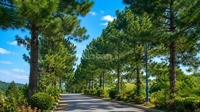 Cần bán gấp biệt thự đơn lập 600m2 mặt tiền 24m The Phoenix Garden 