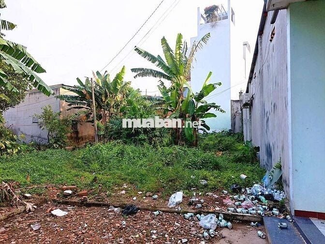 NHÀ VƯỜN SIÊU RỘNG 787M² FULL THỔ CƯ – NGANG 25M – CHỈ HƠN 9 TRIỆU/M²