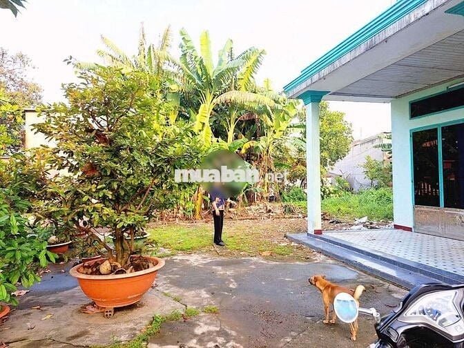 NHÀ VƯỜN SIÊU RỘNG 787M² FULL THỔ CƯ – NGANG 25M – CHỈ HƠN 9 TRIỆU/M²