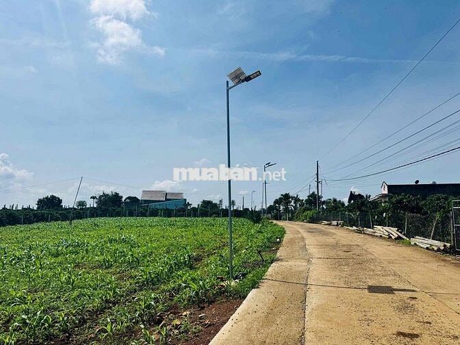 BÁN ĐẤT TRUNG TÂM TÂN HỘI - ĐỨC TRỌNG - SỔ RIÊNG - FULL THỔ CƯ
