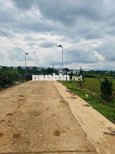 BÁN ĐẤT TRUNG TÂM TÂN HỘI - ĐỨC TRỌNG - SỔ RIÊNG - FULL THỔ CƯ