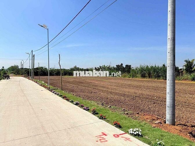 ĐẤT BÌNH THẠNH - ĐỨC TRỌNG CHỈ TỪ 459 TRIỆU – SỔ RIÊNG – THỔ CƯ SẴN