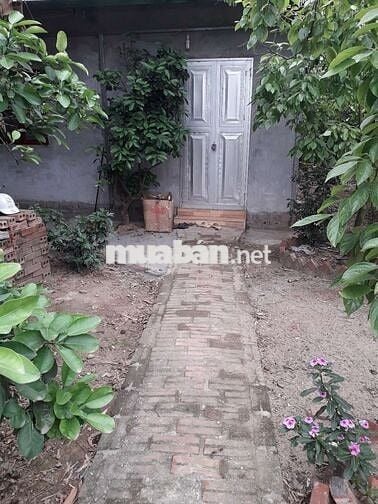 Nhà cấp 4, ngõ 120 phổ nhổn , Tây Tựu, HN