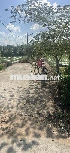 HOT HOT – NỀN GỐC  2 MẶT TIỀN – CƠ HỘI ĐẦU TƯ HIẾM CÓ 🔥  🏡 NỀN GỐC 2 M