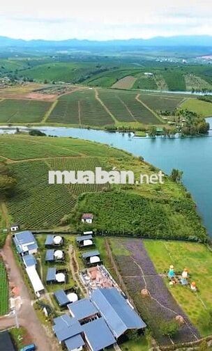 TÔI có đất cạnh hồ và OLaLa Glamping Bảo Lâm cần bán