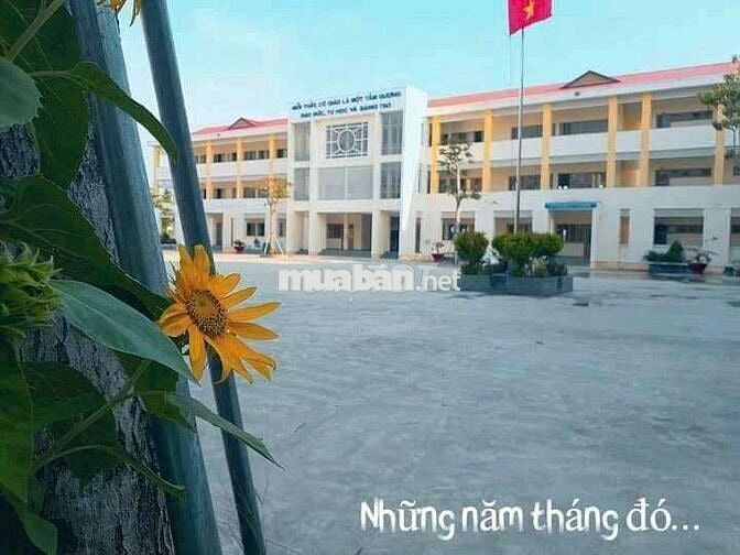Đất thổ cư mặt tiền đường, đối diện trường THPT Song Phú