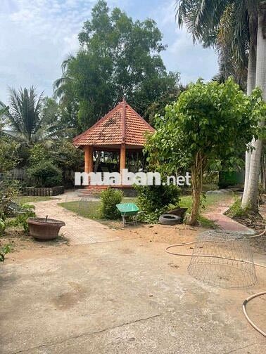 Nhà vườn mặt tiền, đã có quyết định HĐND tỉnh lên phường.
