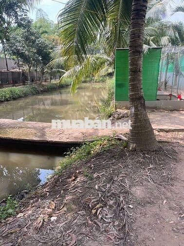 Nhà vườn mặt tiền, đã có quyết định HĐND tỉnh lên phường.