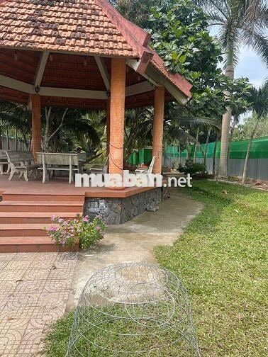 Nhà vườn mặt tiền, đã có quyết định HĐND tỉnh lên phường.