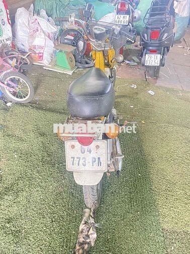 Honda Chaly Cổ điển Vàng