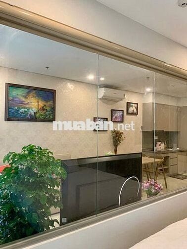 🏢🔥 BÁN CĂN HỘ THE SÓNG – 1PN+ FULL NỘI THẤT – GIÁ TỐT