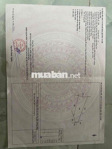 đất chính chủ cần tiền bán gấp