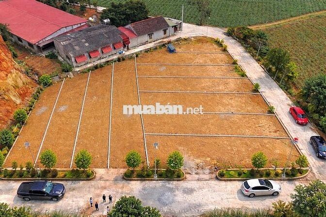 Bán Đất Kim Tân - Sổ Hồng Riêng - Đường Ô Tô Vào Tận Nơi
