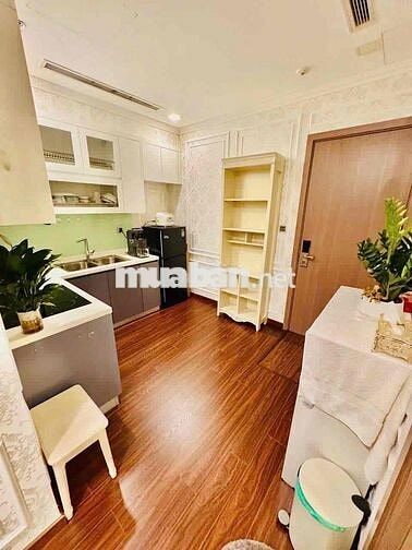 Cho thuê căn 1pn studio giá 16.5 triệu Vinhomes Central Park