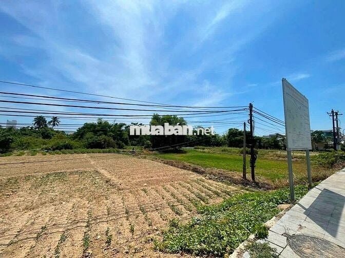 Chợ Cống Mới - Chính thức bước vào giai đoạn khảo sát địa chất