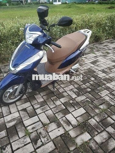 Honda Lead 2014 Xanh, Nâu