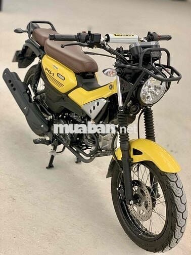 🔥 Yamaha PG-1 2024 Odo 3.000Km Chính Chủ BSTP
