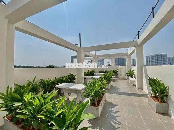 DUPLE BANCOL CỬA SỔ NGAY BẠCH ĐẰNG