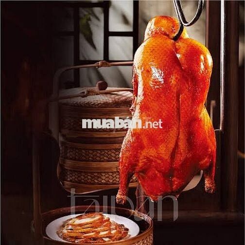 PHỤC VỤ PARTTIME NHÀ HÀNG TAIPAN (Vạn Hạnh Mall)