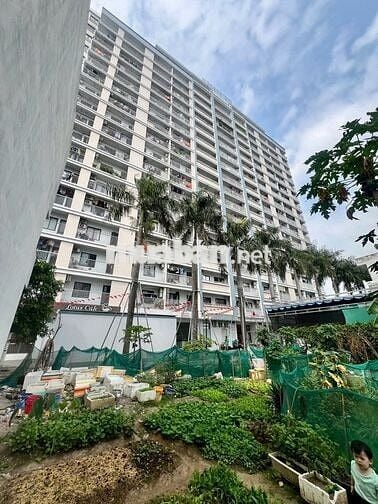 (8777-10) căn hộ star Tower(Quốc Vương) cắt lỗ 420 triệu