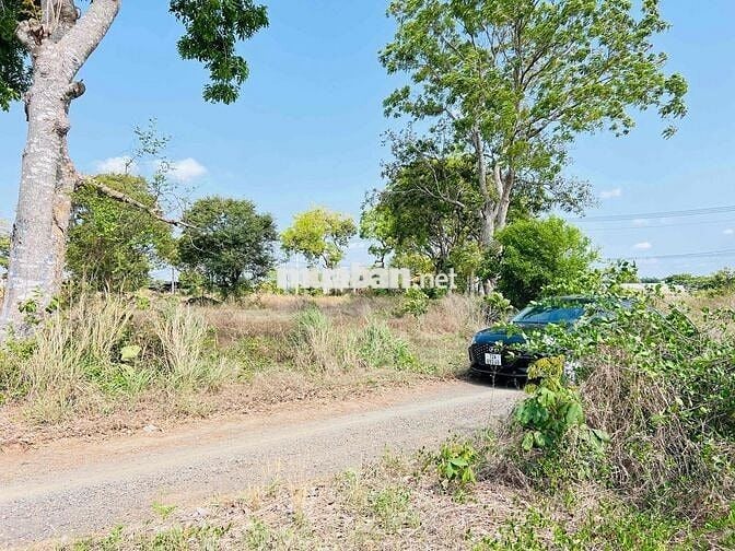 Mặt tiền đường ô tô nhánh Đoàn Trung Còn thị trấn Đất Đỏ