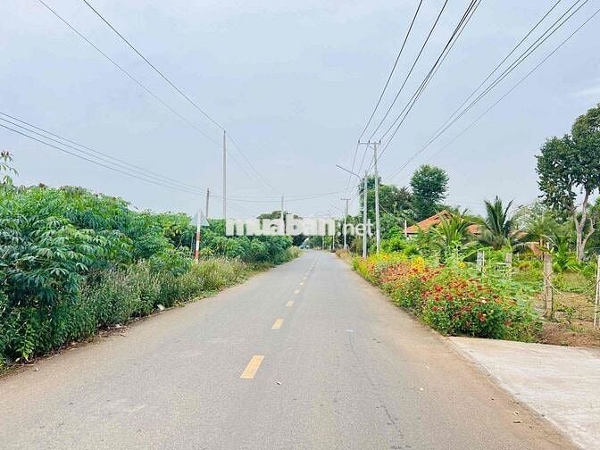 Mặt tiền đường ô tô nhánh Đoàn Trung Còn thị trấn Đất Đỏ