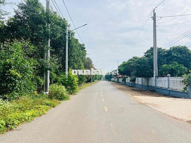 Mặt tiền đường ô tô nhánh Đoàn Trung Còn thị trấn Đất Đỏ