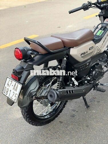 Chính chủ phố PG-1 Nâu - Đen 4.000km - Như xe mới