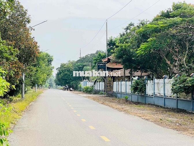 Mặt tiền đường ô tô nhánh Đoàn Trung Còn thị trấn Đất Đỏ