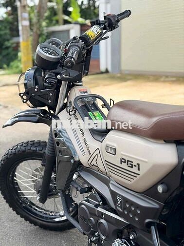 Chính chủ phố PG-1 Nâu - Đen 4.000km - Như xe mới