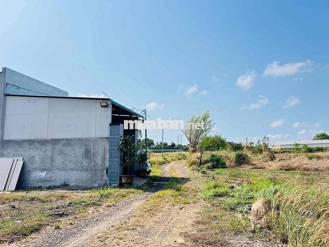 Mặt tiền đường ô tô nhánh Đoàn Trung Còn thị trấn Đất Đỏ