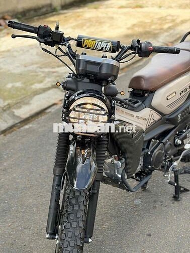 Chính chủ phố PG-1 Nâu - Đen 4.000km - Như xe mới